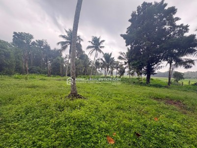 LAND FOR SALE IN MADAPPAD, ETTUMANOOR, KOTTAYAM