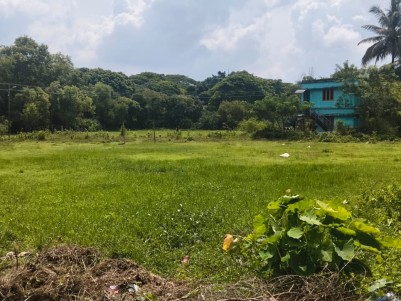 Square Plot for Sale in Kalamassery  kochi