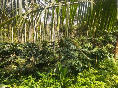 Land for Sale in Sulthan Bathery, Wayanad