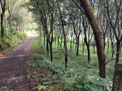 Land for Sale in Perumbavoor, Ernakulam 