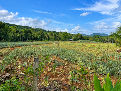 Land for Sale in Angamaly, Ernakulam 