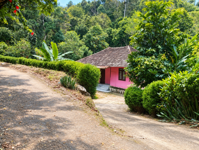 3 ACRE PLANTATION WITH 4 BHK HOUSE FOR SALE IN KUNCHITHANNY, MUNNAR, IDUKKI