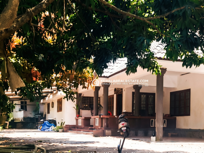  PLANTATION FOR SALE IN MURIKASSERY, IDUKKI