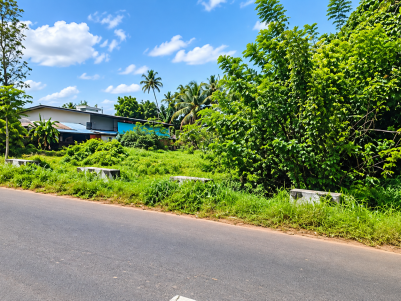 Land for Sale in Arayankavu, Kottayam 