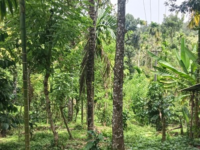  Land for Sale in Nadavayal, Wayanad 