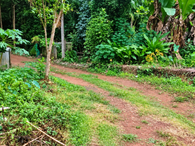 1 Acre Waterfront Land for Sale in Muvattupuzha, Ernakulam