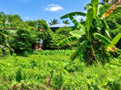 Plots for Sale in Ponekkara, Ernakulam 