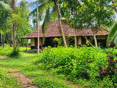Waterfront Land for Sale in Vaikom, Kottayam