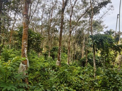  PREMIUM PROPERTY FOR SALE IN VARADOOR, WAYANAD 