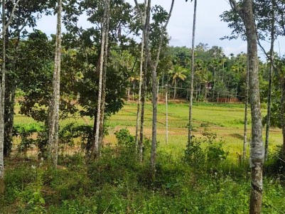  Homestay / Villa / Farm House Plot for Sale in Varadoor, Wayanad
