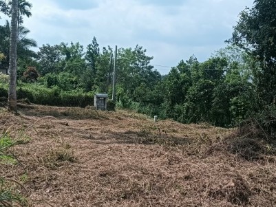 Premium House Plot for Sale Near National Highway, Kalpetta, Wayanad