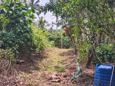 2.31 Acre Land with 2 BHK House for Sale in Manalvayal, Wayanad 