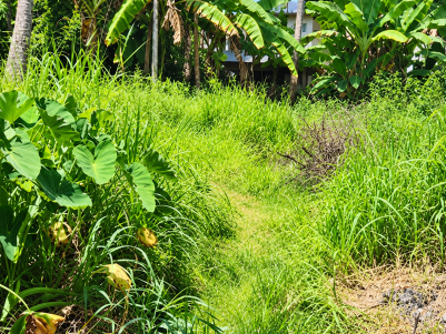 Land for Sale in Kalamassery, Ernakulam