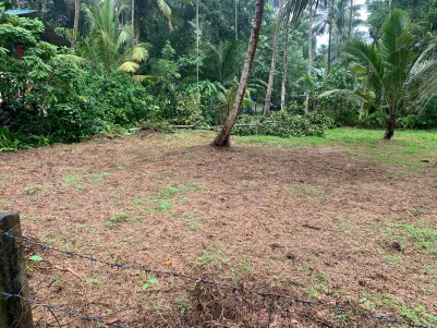 Land for Sale in Kulashekharamangalam, Vaikom, Kottayam