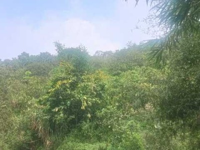 2.70 Acres of Scenic Land for Sale in Mananthavady, Wayanad