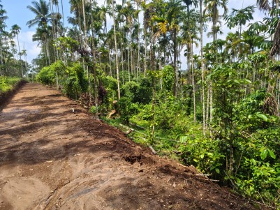 73 Cents Homestay / Villa Plot for Sale in Paplassery, Wayanad