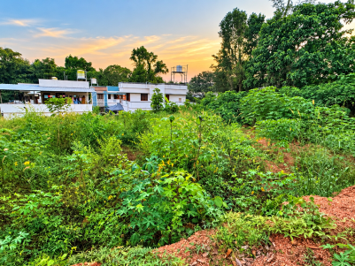 Prime Residential Land for Sale in Vettickal, Mulanthuruthy, Ernakulam